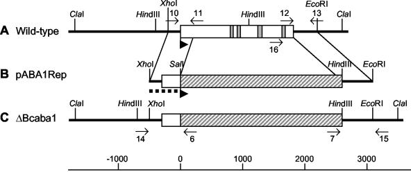 FIG. 7.