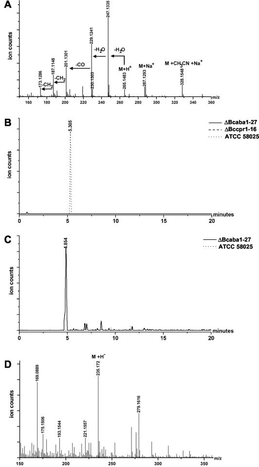 FIG. 6.