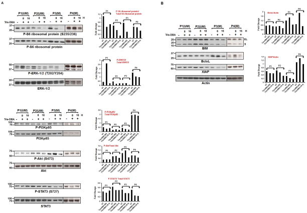 Figure 3A and B