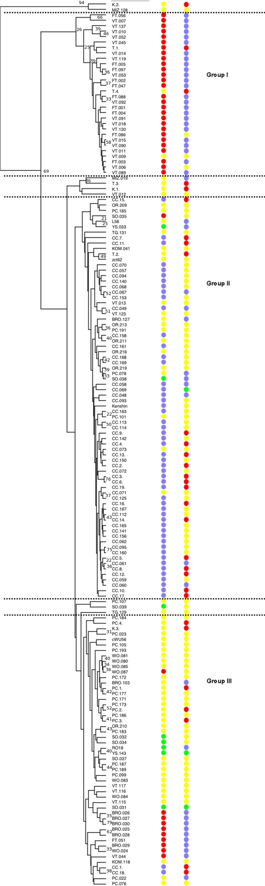 Fig. 1