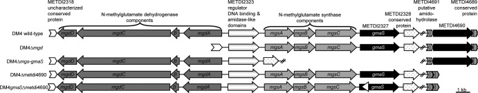 FIG 2