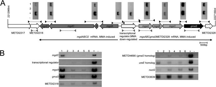 FIG 3