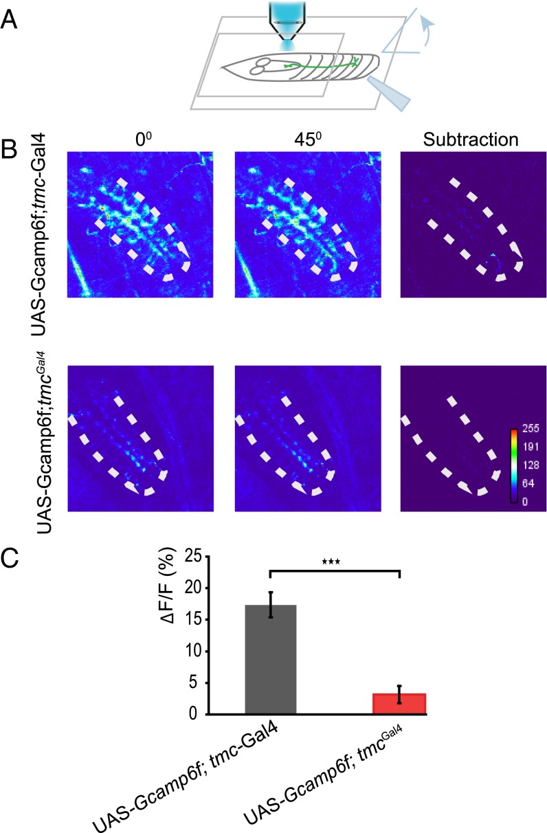 Fig. 4.