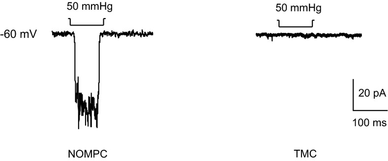 Fig. S5.