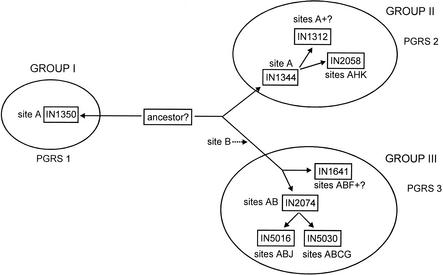 FIG. 2.