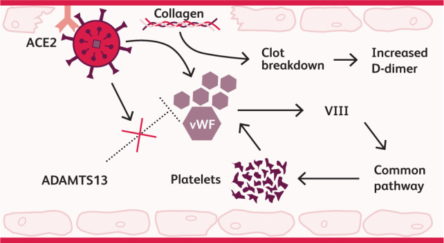 Fig 1.