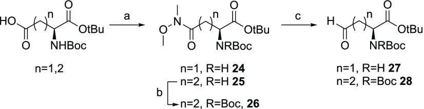 Scheme 3