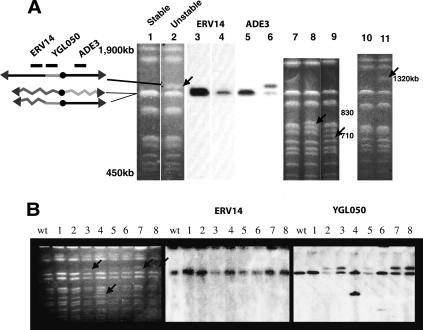 Figure 3.