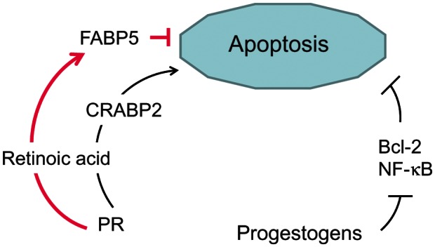 Figure 5