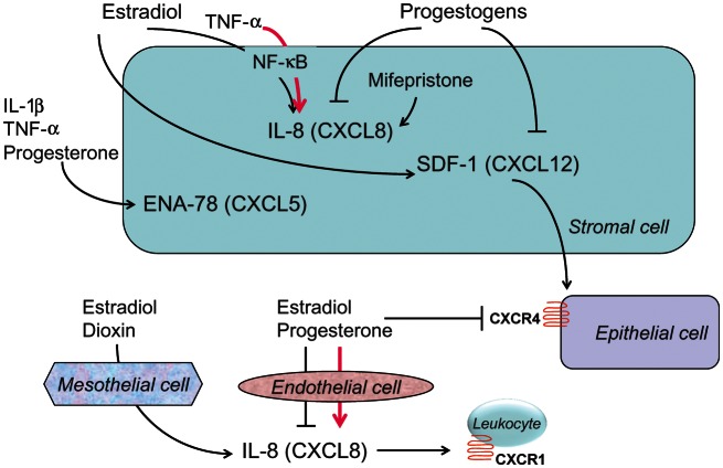 Figure 3