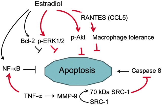 Figure 4