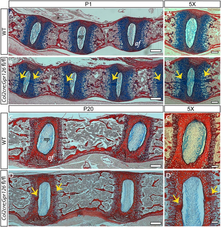 Figure 2.