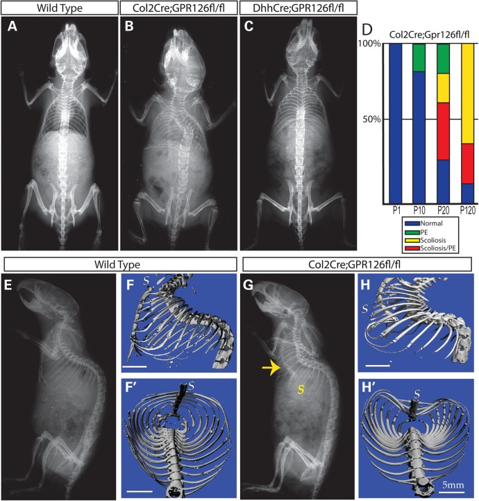 Figure 1.