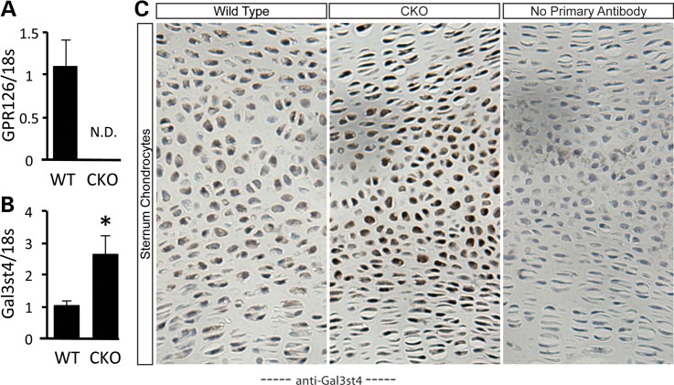 Figure 4.