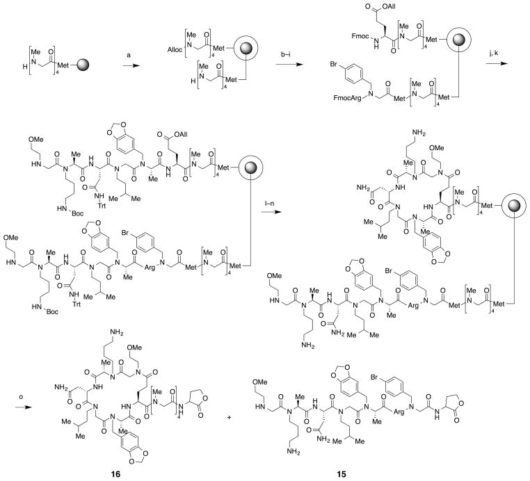 Scheme 1