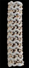 Figure 9c.