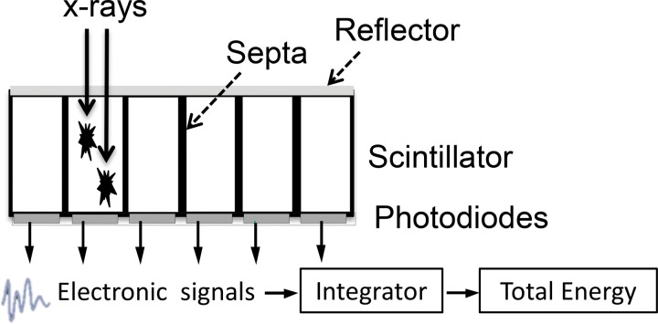 Figure 1a.