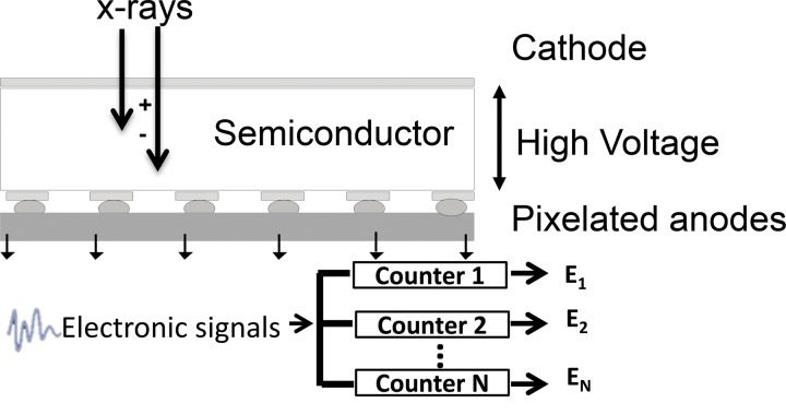 Figure 1b.