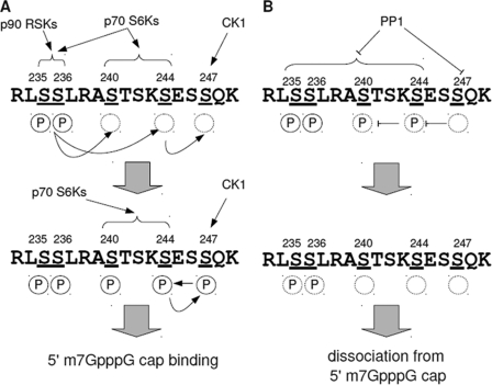 FIGURE 7.