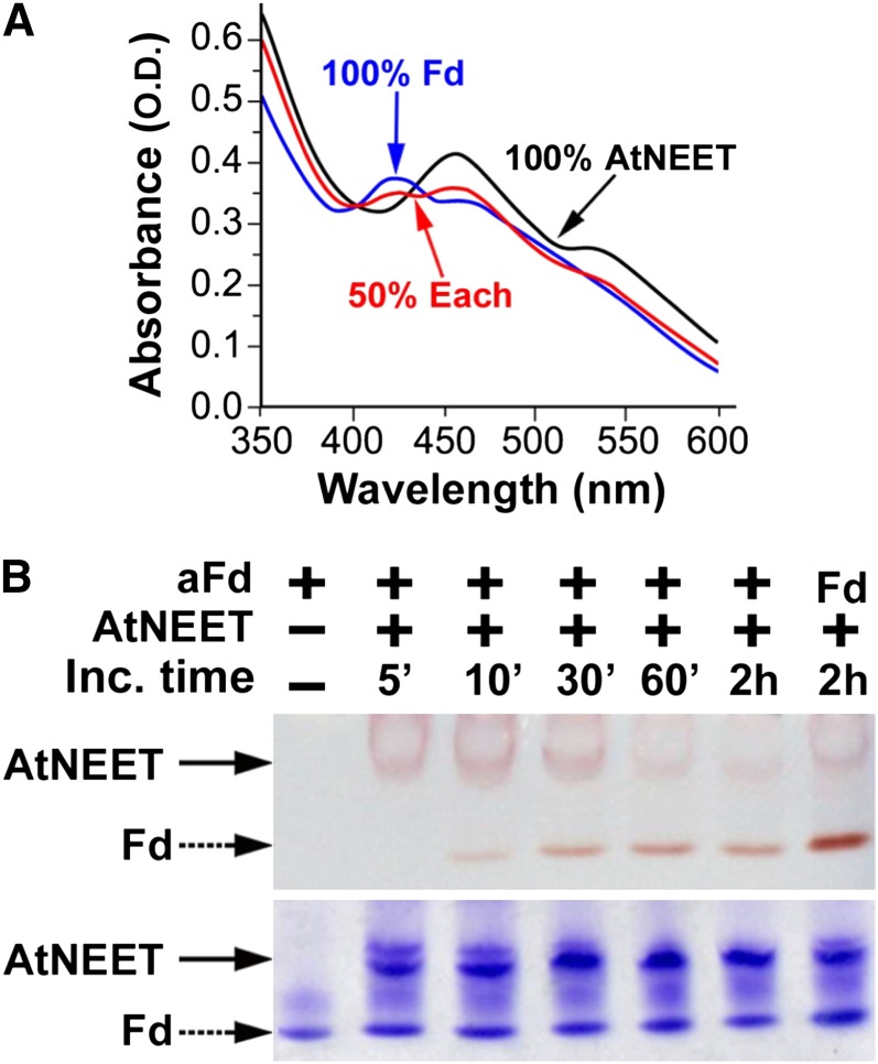 Figure 7.