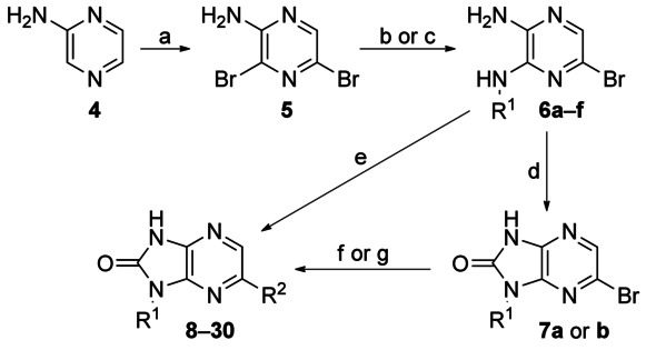 Scheme 1