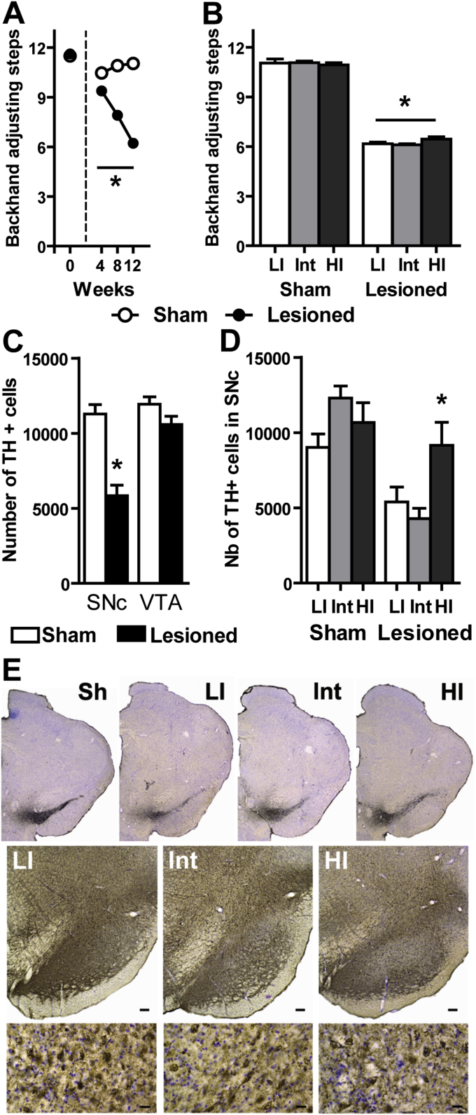 Fig. 1