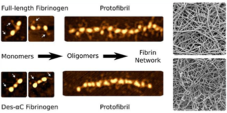 graphic file with name nihms-905022-f0001.jpg