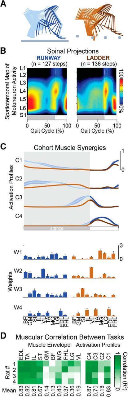 Figure 12.