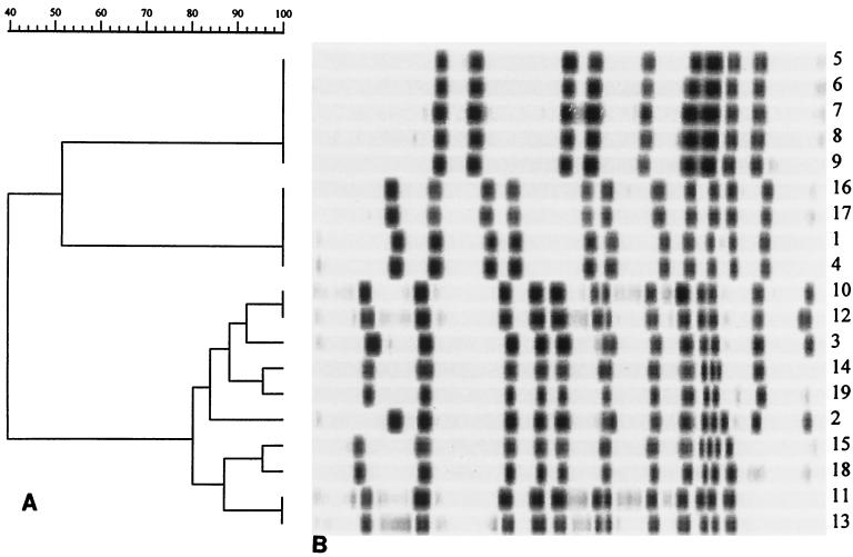 FIG. 1