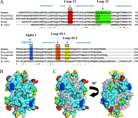 FIGURE 1.