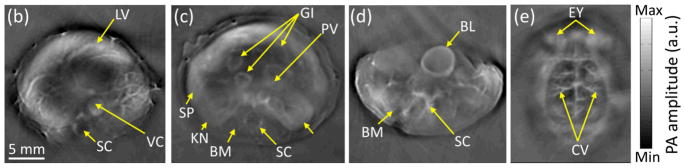 Fig. 4