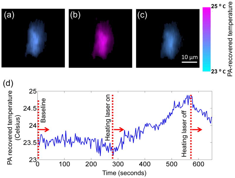 Fig. 10