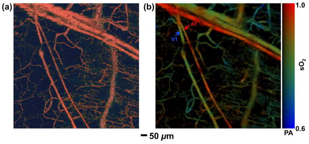 Fig. 9