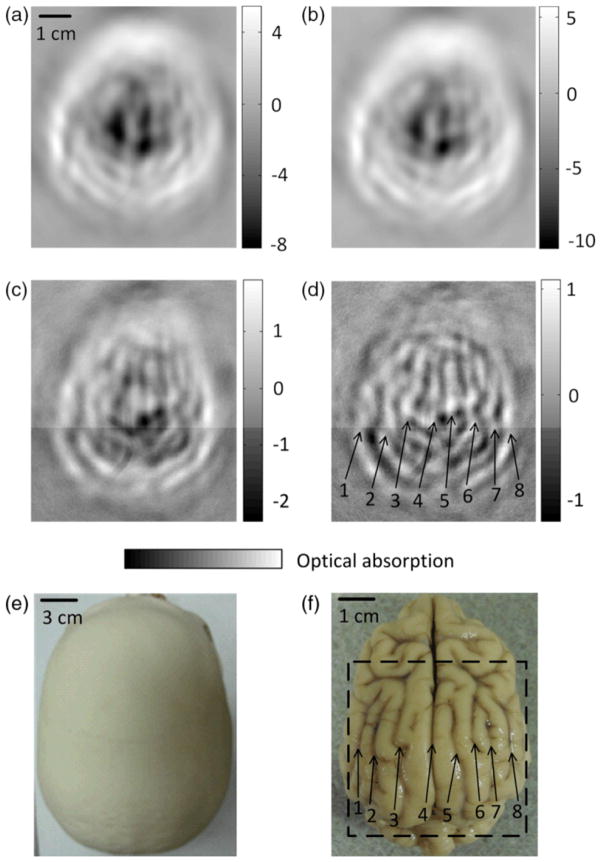 Fig. 14