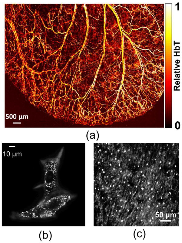 Fig. 2