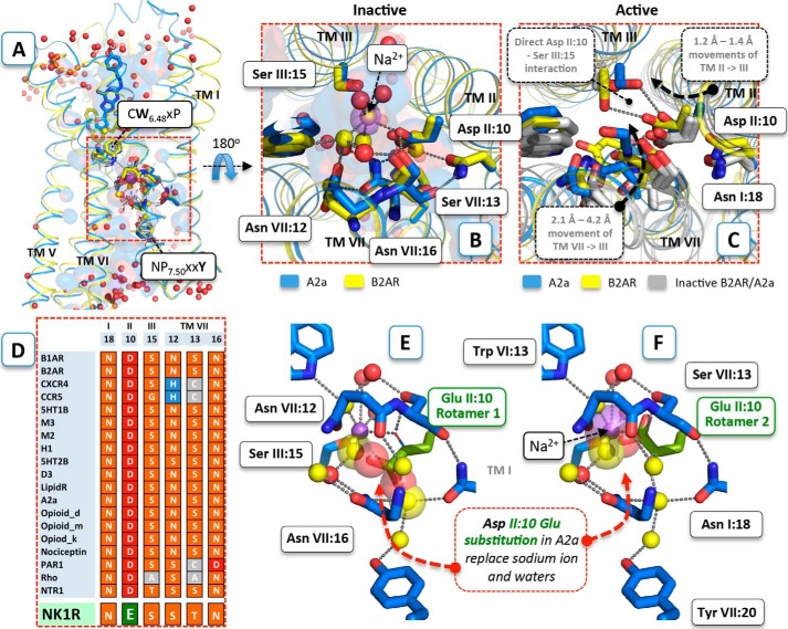 FIGURE 1.