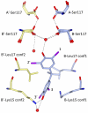 Fig 5