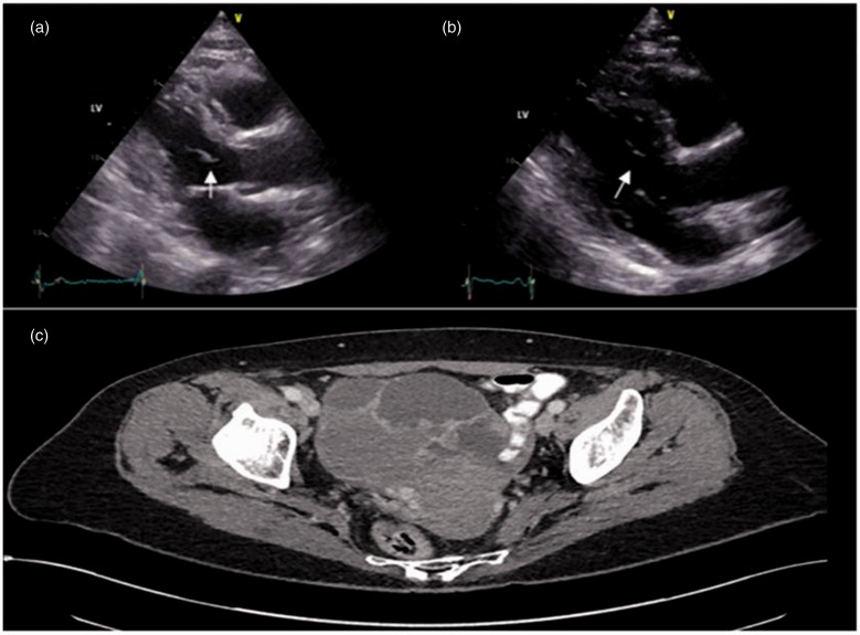 Figure 2.