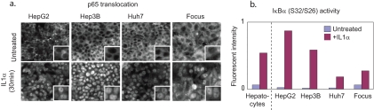 Fig. 10.