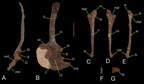 Figure 6.