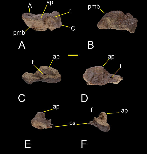 Figure 8.