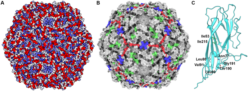 Figure 7.