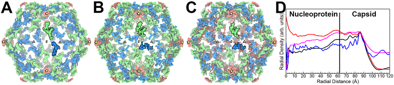 Figure 5.