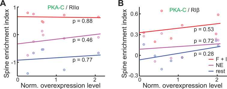 Figure 1—figure supplement 1.