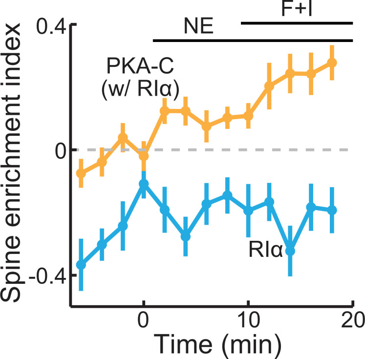 Figure 1—figure supplement 3.