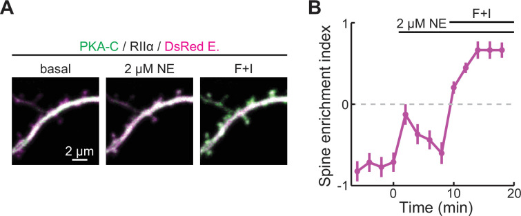 Figure 1—figure supplement 2.