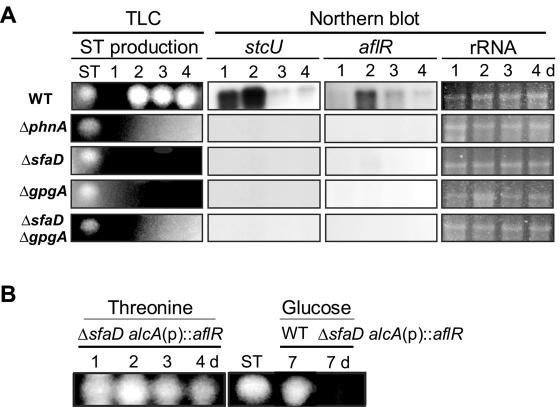 FIG. 5.