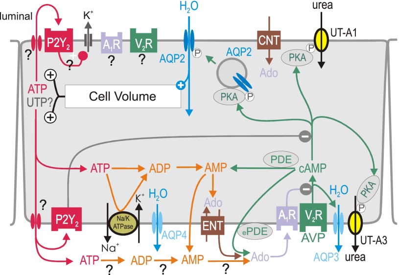 Fig. 4.