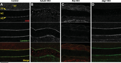 Figure 4.