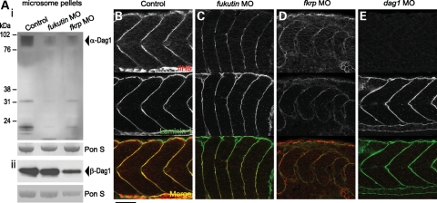 Figure 3.